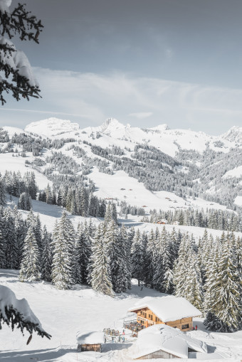 Mountain lodge Lochstafel