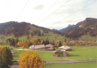 Wettbewerb neue Milchverarbeitung Saanenland